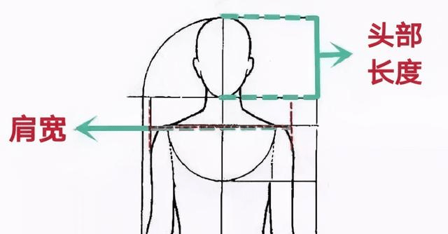 一般来说,当头长大大于或者接近肩宽一半的长度时,这种头肩比就会看