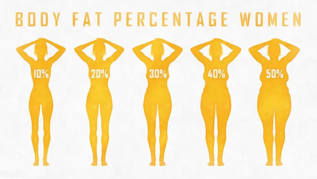 原创为什么体重相同的两个人,身材胖瘦却不同?体脂率才是胖瘦的关键