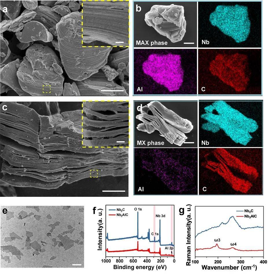 骨肿瘤疗修的生物玻璃支架材料3d打印超薄二维碳化铌mxene纳米片