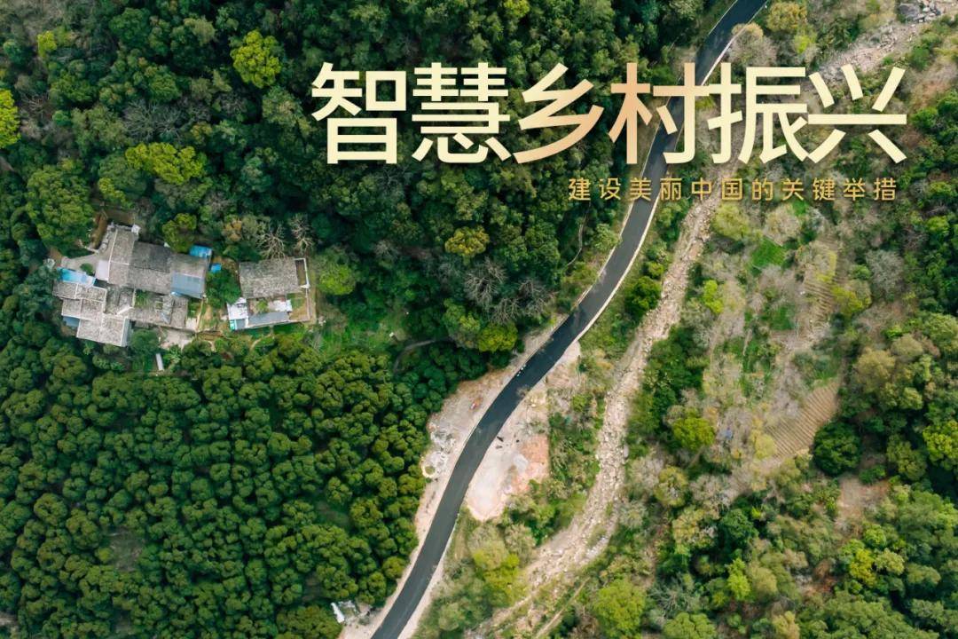 全面推进乡村振兴落地多地陆续公布政策细节