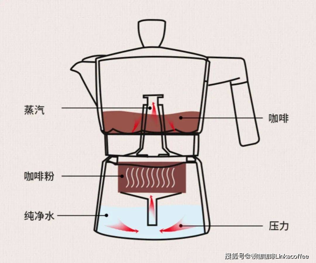 如何用摩卡壶冲煮出一杯完美的咖啡?_组成部分