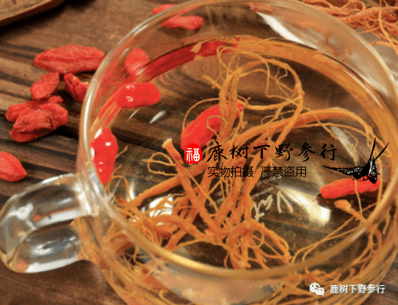 小参须大作用,人参须泡水的功效