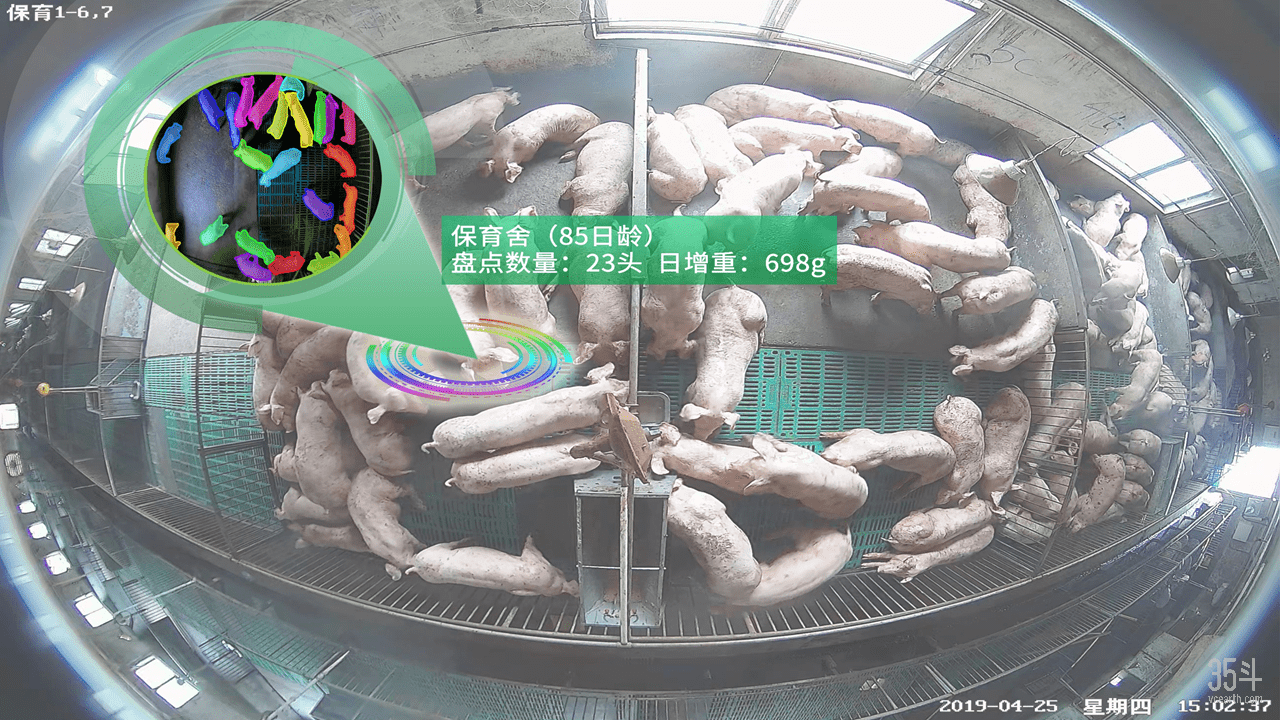 智慧养猪用科技撑起猪场的一片天地丨专访普立兹