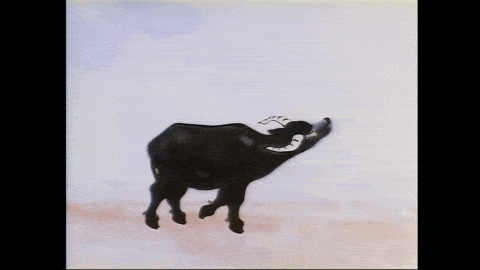 昏昏沉沉的午后,牧童迷迷糊糊在树上睡着了.