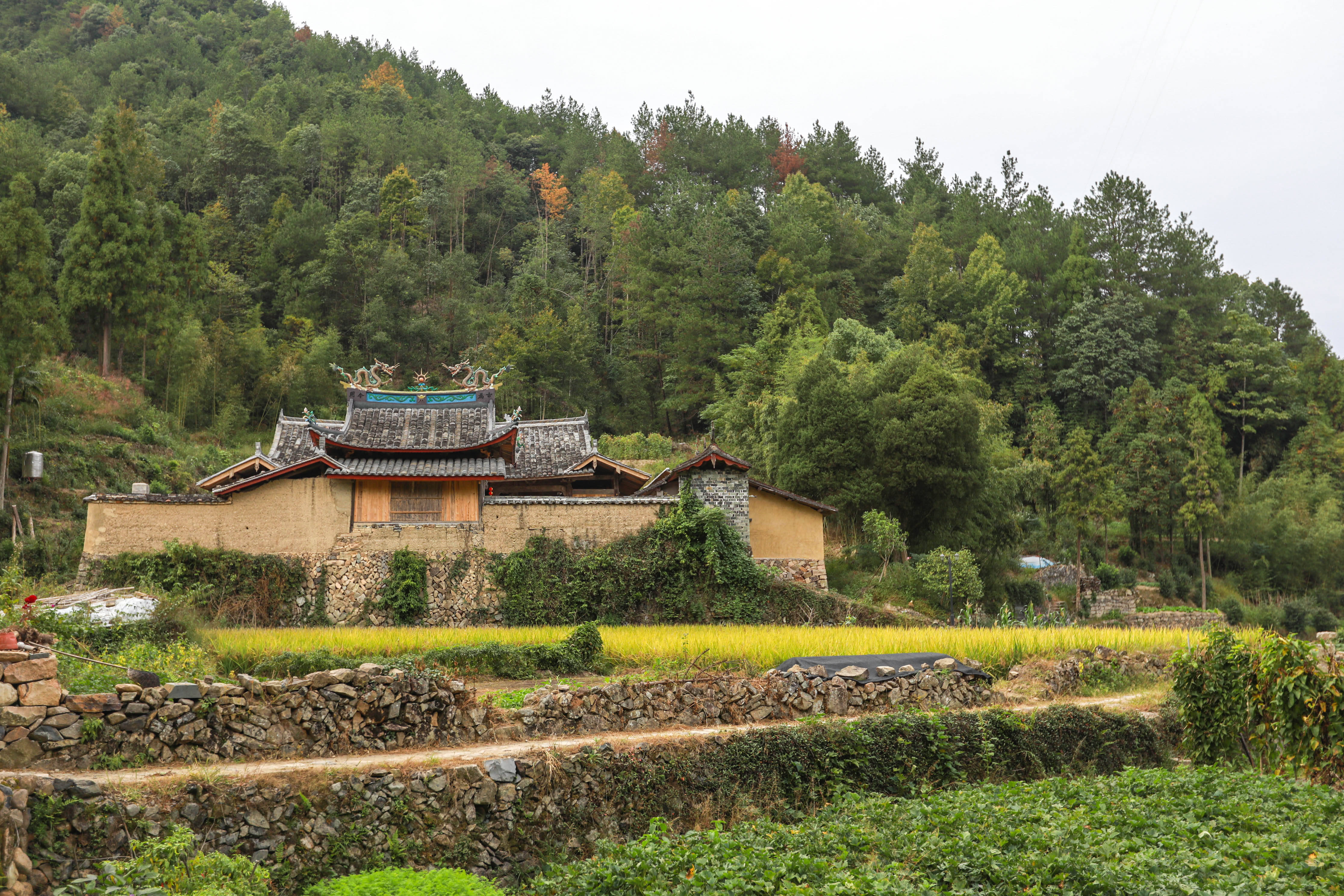 养生福地浙江泰顺,寻找大隐于市的千年古村