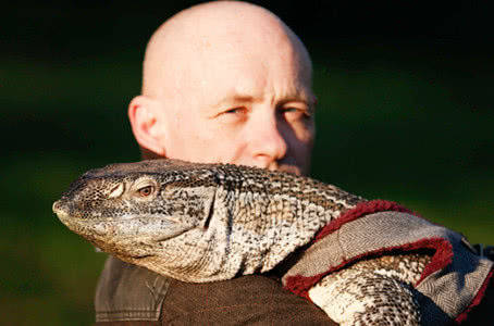 原创男子养巨型蜥蜴当宠物,画风奇特,公园拒绝他入内游览