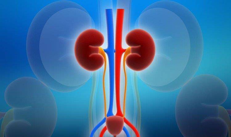 原创尿毒症患者越来越多,劝说:别碰6个原因,肾会感谢你