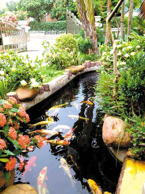 成为庭院设计的亮点,欣赏完以上几幅庭院水池设计,你一定对庭院水池的