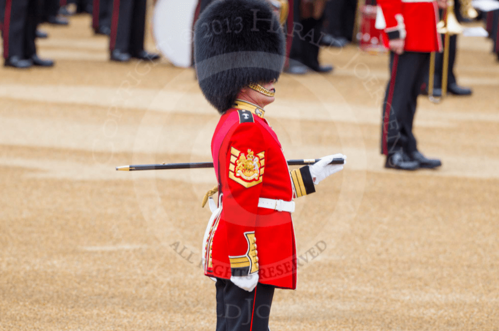 英国的一级准尉堪称兵王,担任卫戍军士长,佩戴最华丽的军衔_皇家卫队