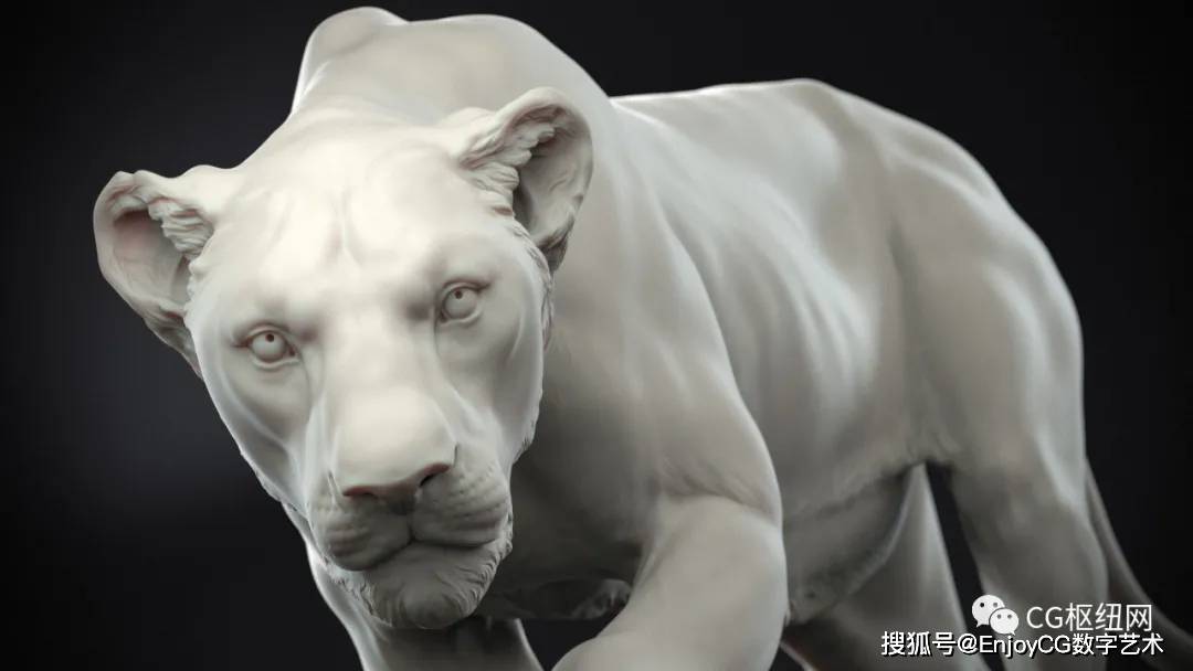 zbrush动物雕刻cg必备