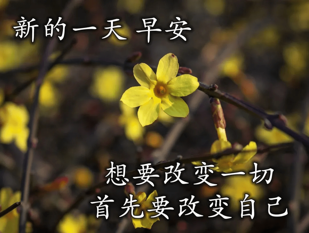 原创朋友圈温馨祝福语录,幸福的人,总在享受好心情,祝愿您早安!