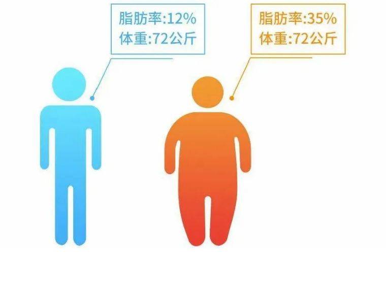 脂肪重量在人体总体重中所占的比例,成年男性15%-18%,女性22%-25%.