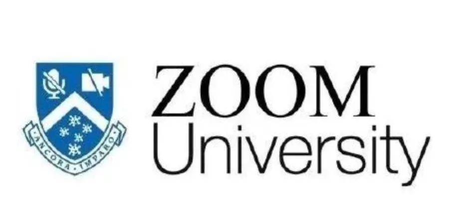 网课一年期至zoomuniversity的留学生怎么样了