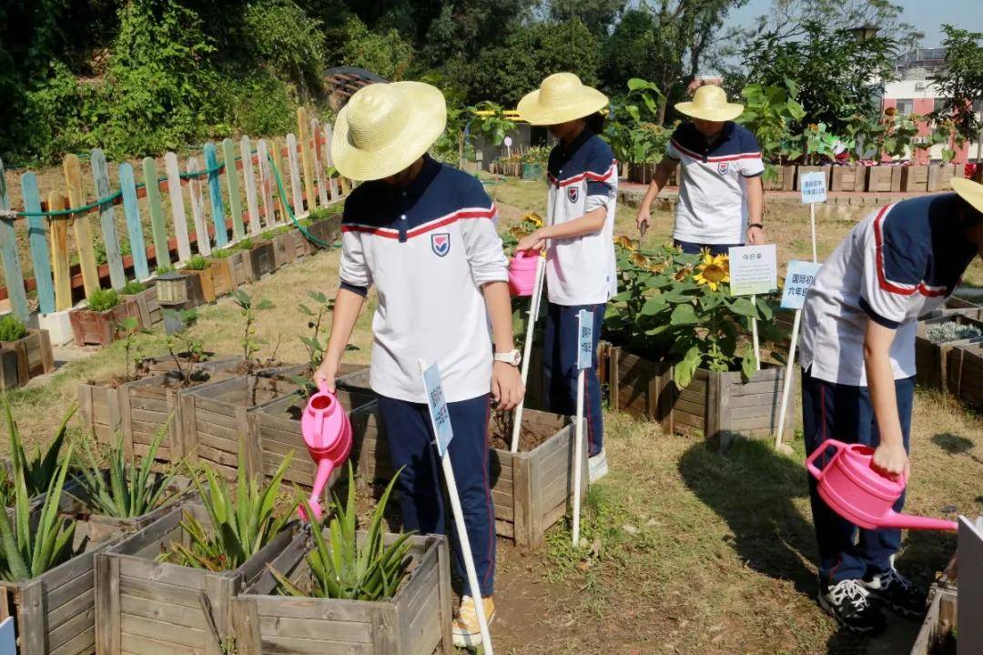 这所学校有田园—述评gcgs获评劳动教育特色学校_活动