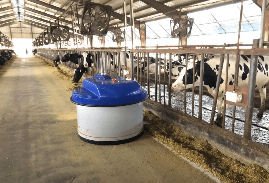 奶牛有了身份证智慧畜牧助牧场降本增效