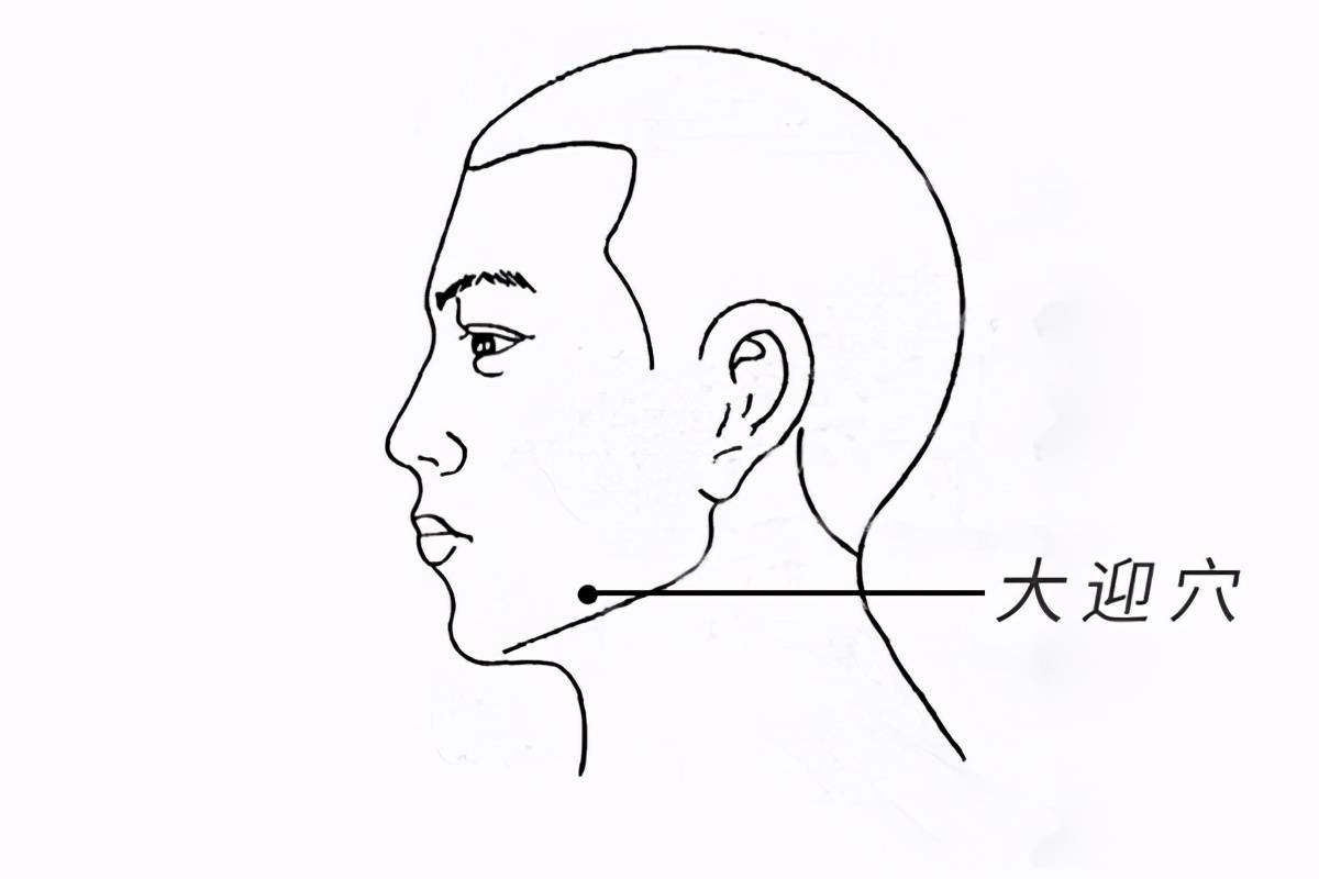 以上几个穴位是足阳明胃经中的重要俞穴,主要作用是改善胃火旺引起的