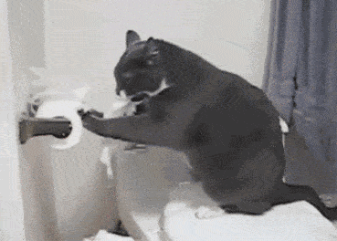 笑出猪叫~作为铲屎官,你经历过这样的绝望吗?