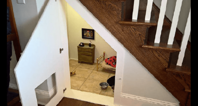 原创主人把楼梯间装修成了狗屋,床柜子装饰画应有尽有,不如一只狗啊