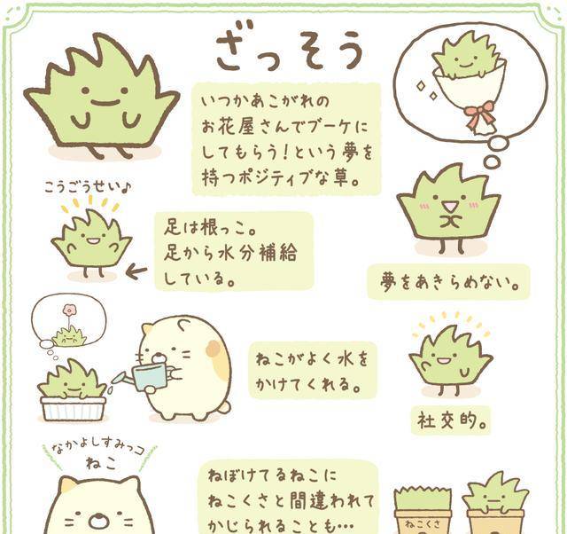 软萌的角落生物们主角介绍