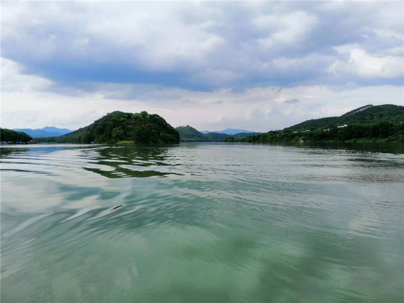 贺江碧道画廊景区还打造了竹荪种植采摘基地,赤松茸植采摘基地,黄金