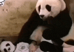 搞笑gif: 据说百分之九十的人都经不起这样的考验_大哥