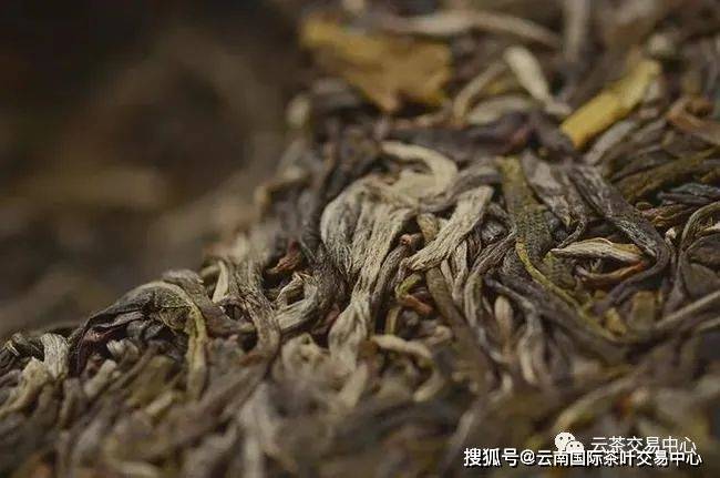 爱了这普洱茶的茶毫