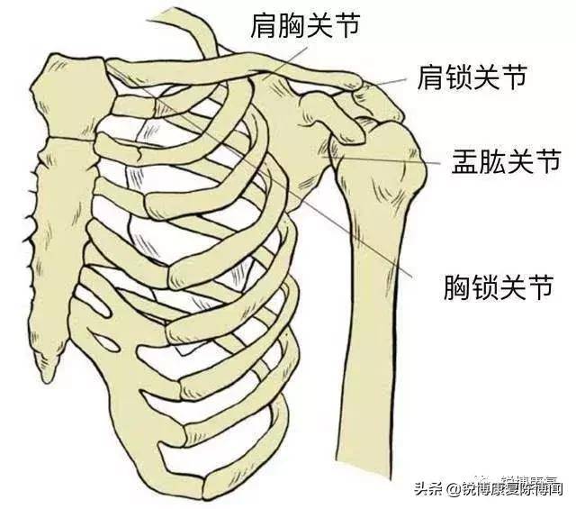 解决方法 试着将杠铃 往胸部中间移动,肩膀向后,挺胸,后缩肩胛骨,会
