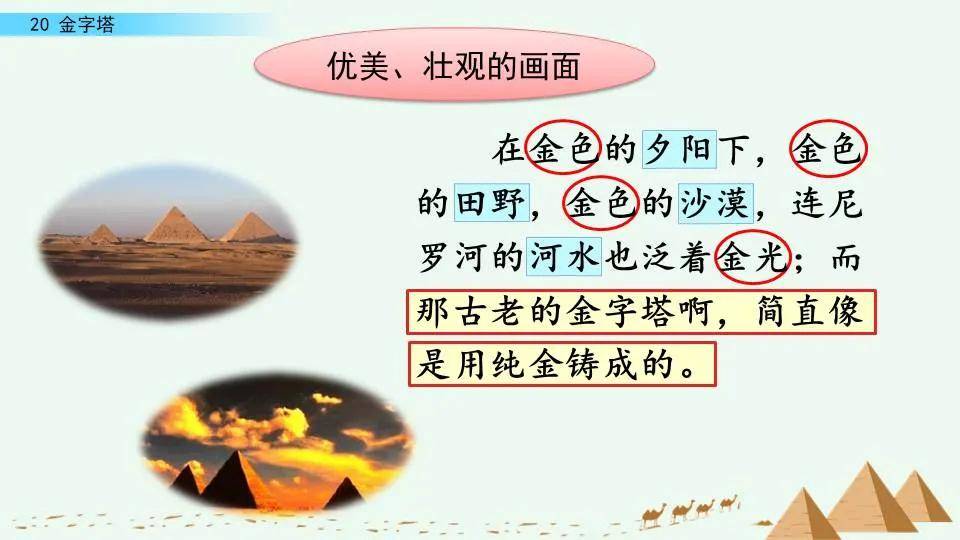 教材分析 课文《金字塔》编排了两篇短文,分别是散文《金字塔夕照》