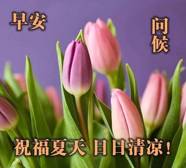 2021年5月30日星期日夏日清晨早上好祝福图片 周日愉快早安问候免打字