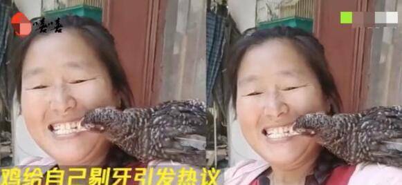 更有甚者某次直播中大衣嫂竟然张着嘴让鸡啄她牙齿上的食物残渣,令人