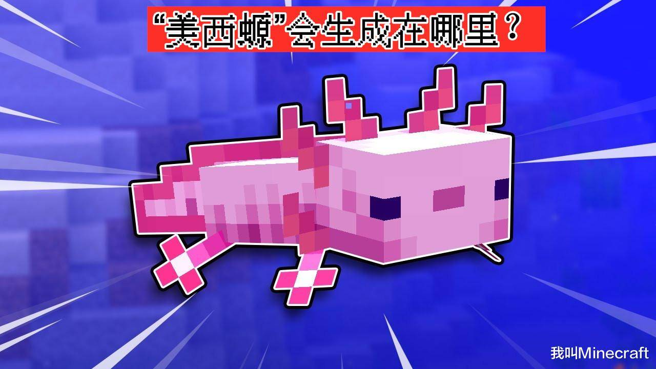 01,新生物:69美西螈(axolotl)696969