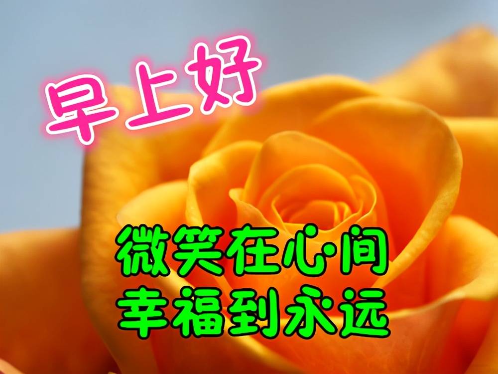 早上好!清晨问侯,是心语,是友谊,是牵挂,更是一份思念