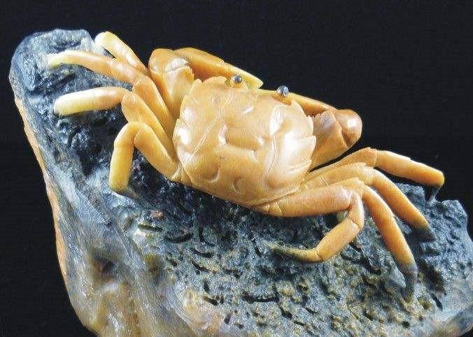 原创因为长得太美,这种螃蟹让人不忍下嘴,怎奈还是沦为食材