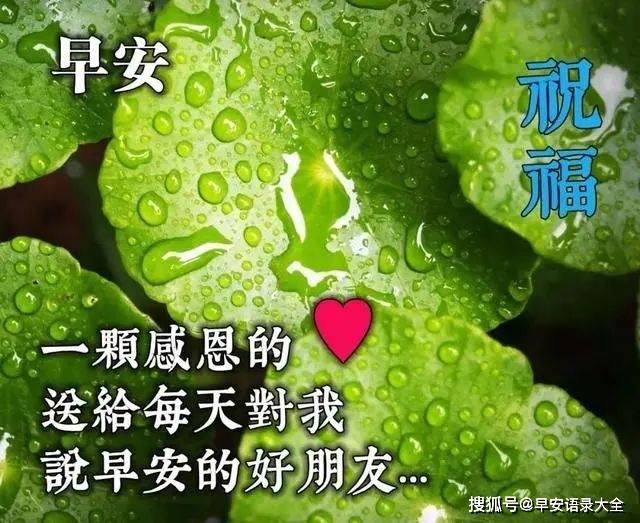 原创2021清晨新版风景早安问候图片 朋友圈最美早安祝福语图片合集