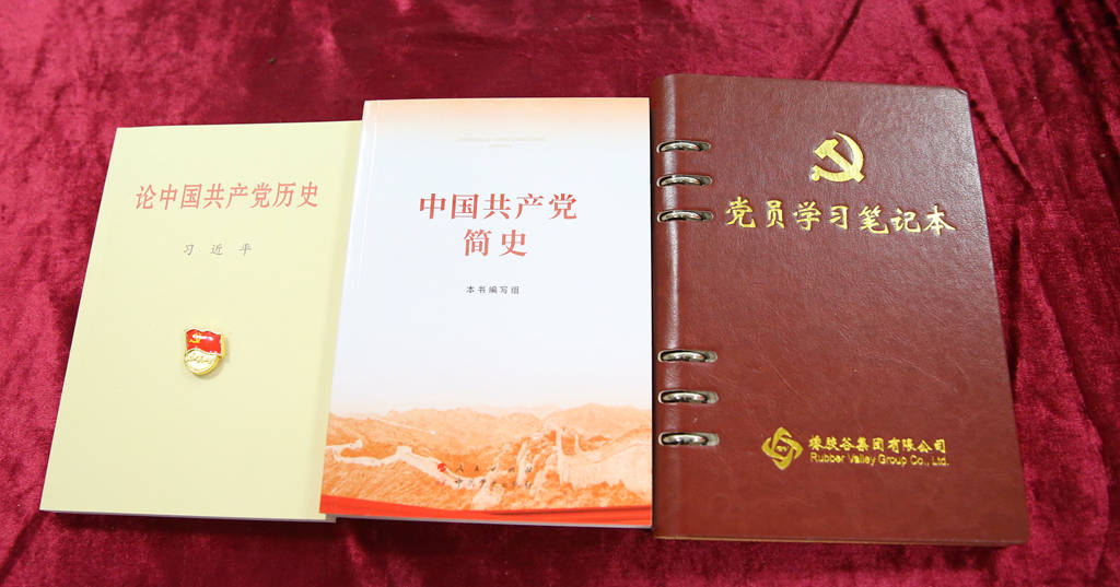 党徽,《论中国共产党历史》,《中国共产党简史》及党员学习笔记本