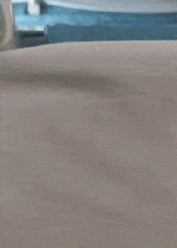 爆笑gif哎呀当时把我气的呀