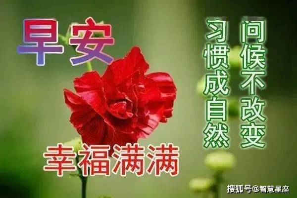 秋季早安2021最美图片,2021年深秋早安图片 原创2021炎热清晨最美早上好漂亮问候语美图,早安带字带表情的祝福语