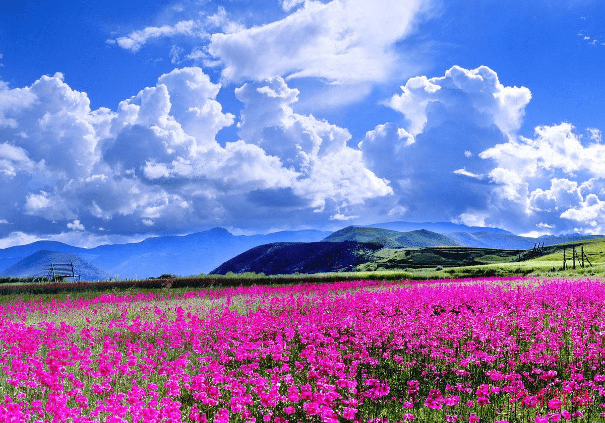 香格里拉旅游景点有哪些