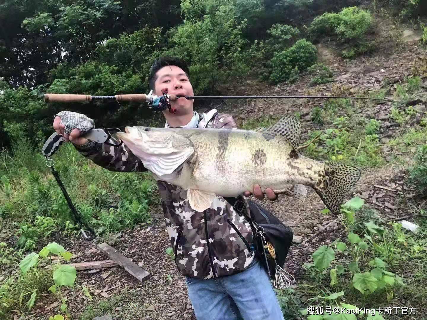 渔获名人堂|六月鳜钓记,"鳜"客请上座_鳜鱼