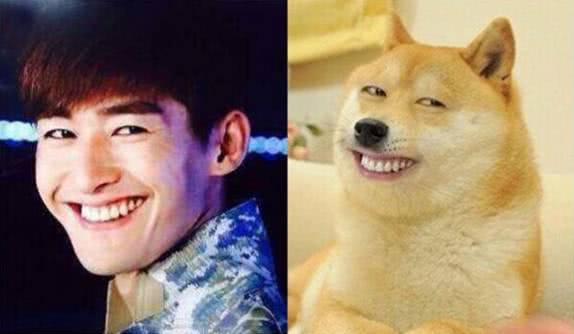 那些年与明星撞脸的狗狗们,真的笑skr人了