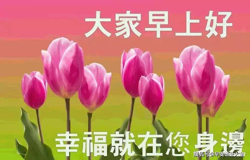 原创2021最新特别漂亮的早上好免打字图片,周五暖心早上好问候语图片