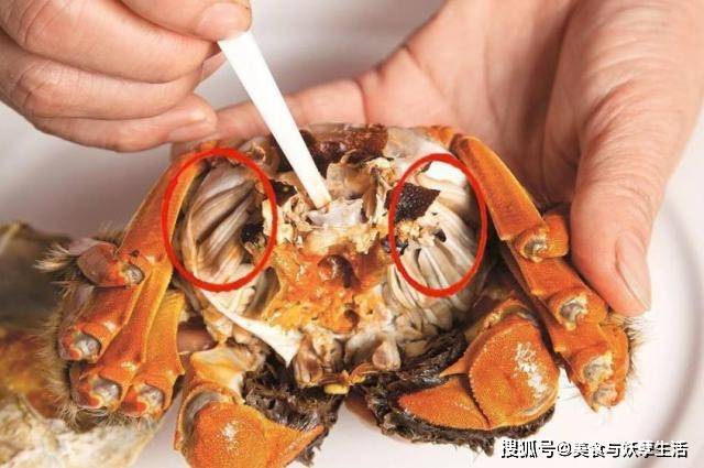 吃螃蟹时要注意,这4个地方不能吃,很多人不知道,难怪吃完腹泻