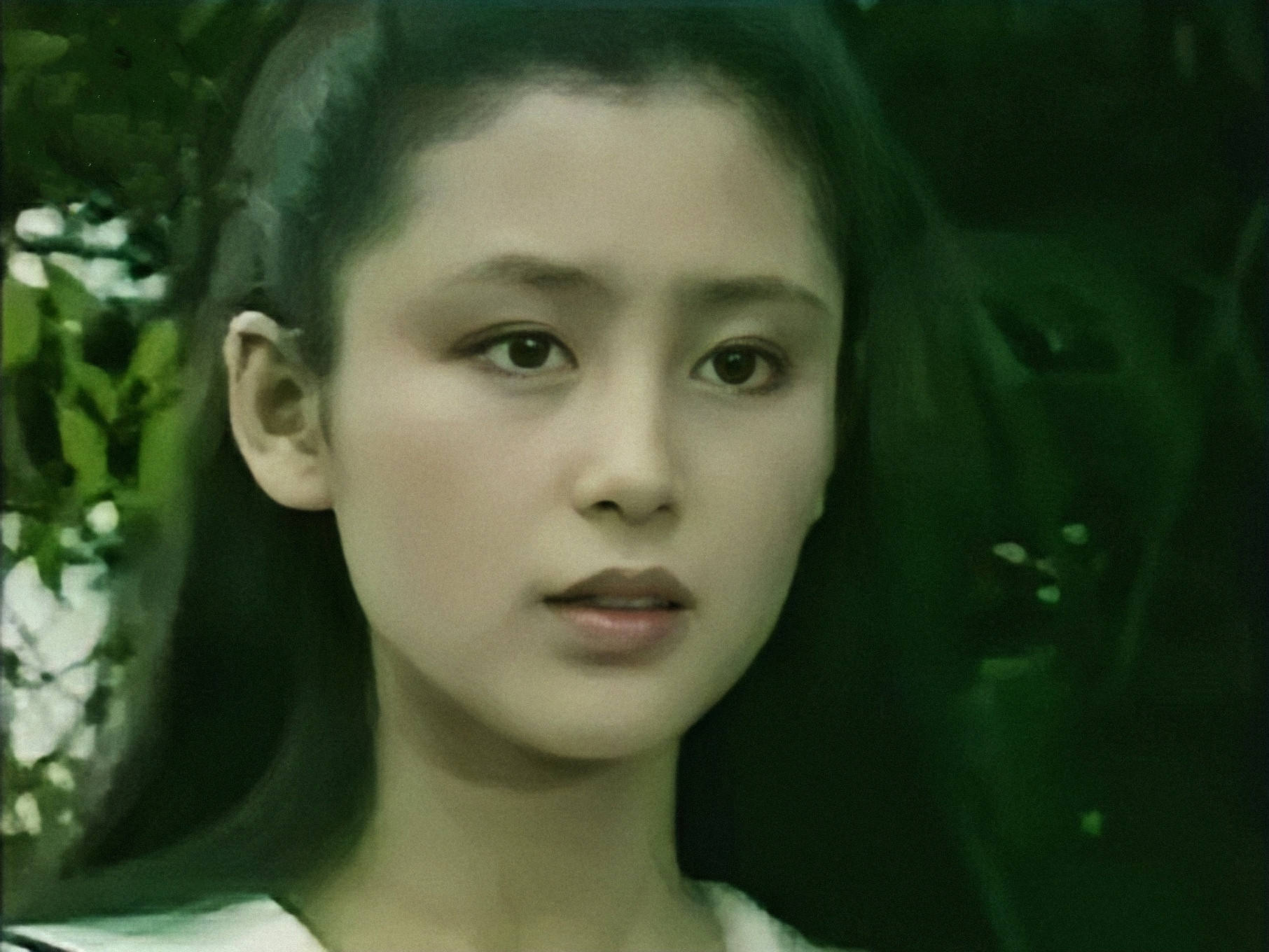 《几度夕阳红》和《台湾女人 只可惜这不是琼瑶最畅销的作品 陈红