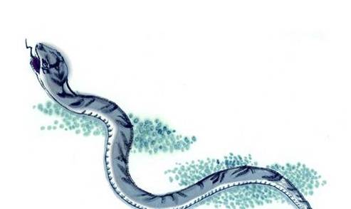 梦游黑色蛇影，解读梦中喂食之谜