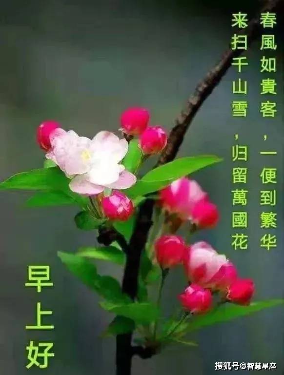 日微信朋友群发早上好祝福短信六月份最新的早安问好图片带字带祝福语