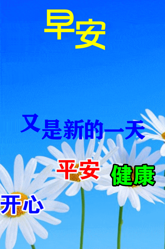 6月17日创意唯美早上好动画图片鲜花带祝福语 特别漂亮早安问候祝福