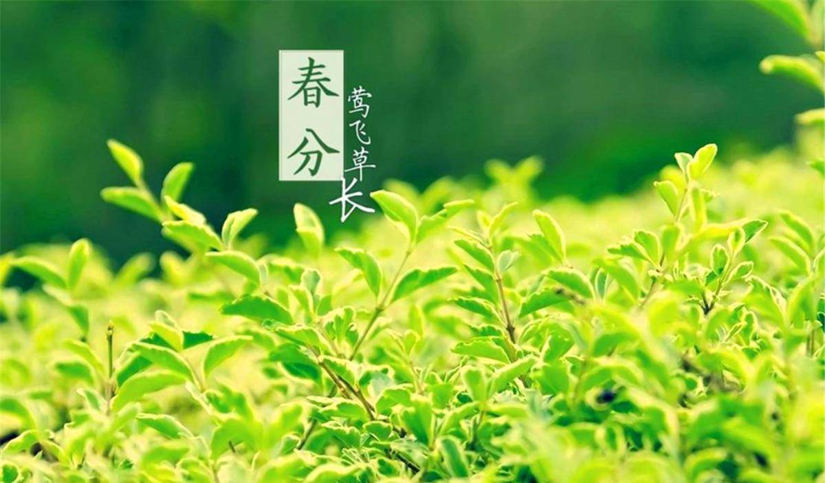 原创2021年春分到了,这一天什么事能做,什么事忌做?老规矩不能忘了