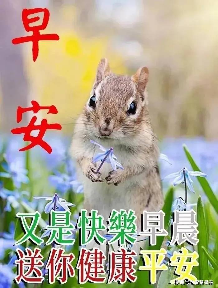 原创2021年6月18日星期五清晨早上好问候祝福动态表情图片