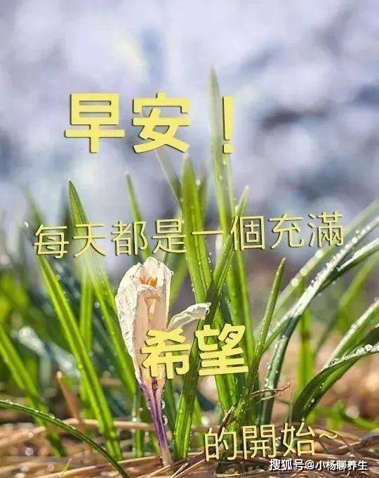 早晨好图片问候句子,简短温馨,让你好心情