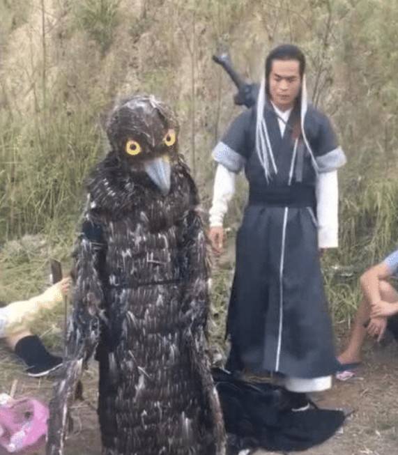 山寨《神雕侠侣》剧组,杨过神似古天乐,大雕扮演者一天500块